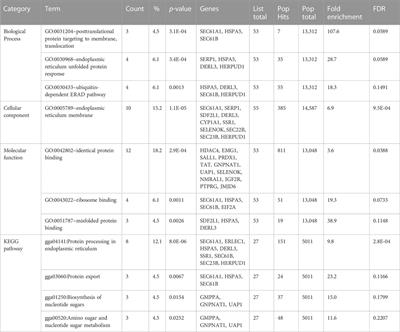 Gene expression networks and functionally enriched pathways involved in the response of domestic chicken to acute heat stress